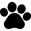 Pet Care Brand